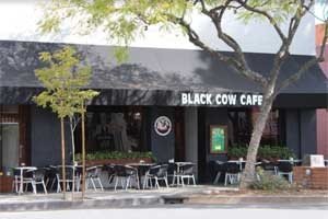 black-cow-montrose